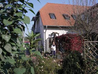 House in Luckaitztal near Lausitz Lakes, cleaning included - Zwietow - 9