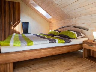 Apartment with forest in Goldisthal Thuringia, cleaning included - Goldisthal - 0