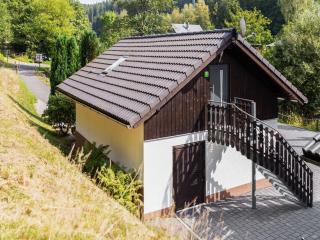 Apartment with forest in Goldisthal Thuringia, cleaning included - Goldisthal - 6