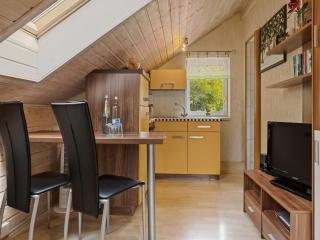 Apartment with forest in Goldisthal Thuringia, cleaning included - Goldisthal - 7