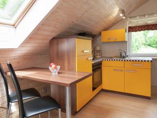 Apartment with forest in Goldisthal Thuringia, cleaning included - Goldisthal - 8