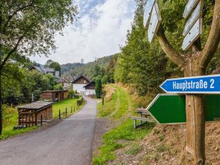 Apartment with forest in Goldisthal Thuringia, cleaning included - Goldisthal - 4
