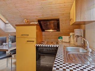 Apartment with forest in Goldisthal Thuringia, cleaning included - Goldisthal - 1