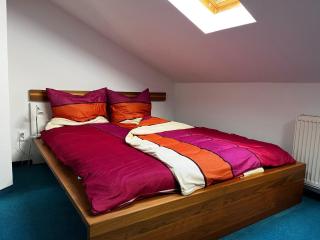 Apartment near the forest, cleaning included - Waltershausen - 6