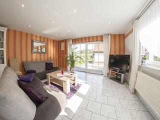 Holiday home near forest in Fischbach, cleaning included - Fischbach - 0