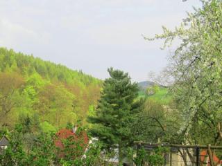 Holiday home near forest in Fischbach, cleaning included - Fischbach - 3