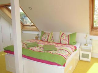 Apartment near Thuringian Forest Skiing, cleaning included - Fischbach - 8