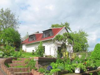 Holiday home near forest in Fischbach, cleaning included - Fischbach - 4