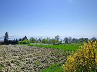 Holiday park, Immenstaad, cleaning included - Immenstaad am Bodensee - 4