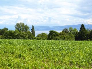 Holiday park, Immenstaad, cleaning included - Immenstaad am Bodensee - 1