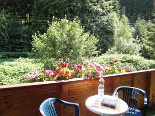 Spacious Stay Near Trails, cleaning included - 5