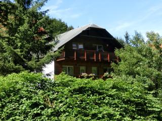 Apartment in Heubach Germany in the Forest, cleaning included - - 7