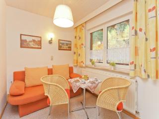 Apartment in Heubach Germany in the Forest, cleaning included - - 0