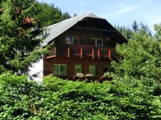 Apartment in Heubach Germany in the Forest, cleaning included - - 8