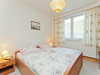 Apartment in Heubach Germany in the Forest, cleaning included - - 3