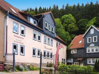 Ferienwohnung, Friedrichroda, cleaning included - Friedrichroda - 7