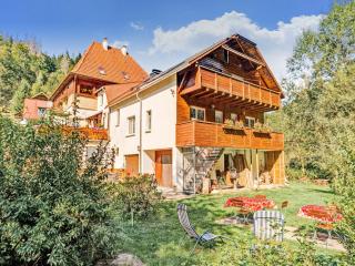 Apartment in Heubach in the forest, cleaning included - - 8