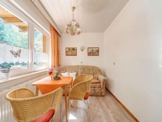 Apartment in Heubach in the forest, cleaning included - - 1