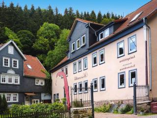 Ferienwohnung, Friedrichroda, cleaning included - Friedrichroda - 8