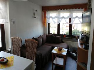Holiday Home in Altenfeld with Private Pool, cleaning included - Altenfeld - 0
