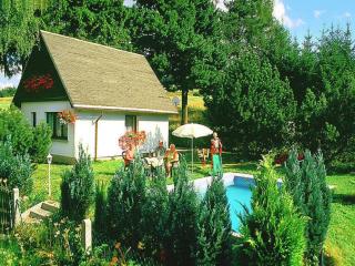 Holiday Home in Altenfeld with Private Pool, cleaning included - Altenfeld - 9