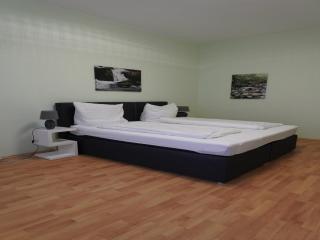 Ferienwohnung im Zentrum von Ballenstedt, cleaning included - Ballenstedt - 8
