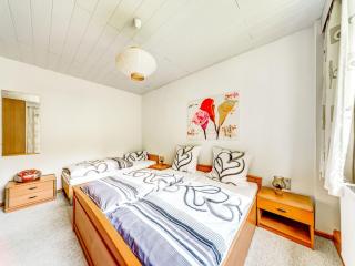 Apartment in Hofstetten near Triberg Waterfalls, cleaning included - - 9