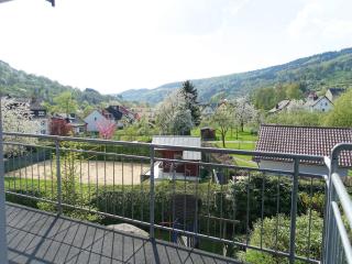 Apartment in Bollendorf for 3 Person, cleaning included - Bollendorf - 8