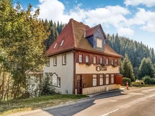 Apartment in Hofstetten near Triberg Waterfalls, cleaning included - - 3
