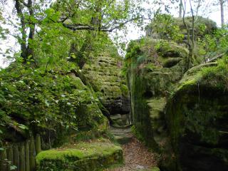 Apartment in the "Saxon Switzerland" region, cleaning included - Struppen - 5
