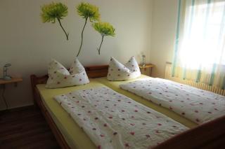 Apartment in the "Saxon Switzerland" region, cleaning included - Struppen - 8