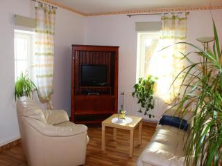 Apartment in the "Saxon Switzerland" region, cleaning included - Struppen - 9