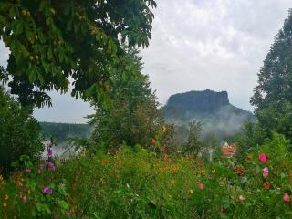 Apartment in the "Saxon Switzerland" region, cleaning included - Struppen - 6