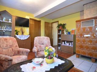Holiday home with garden, cleaning included - Neustadt am Rennsteig - 2