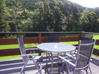 Holiday home near the hiking trails in Bad Laasphe, cleaning included - Bad Laasphe - 6