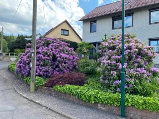 Apartment in Waltershausen, cleaning included - Waltershausen - 8