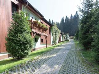 Luxurious Apartment in Jägersgrün with Saunas - Jägersgrün - 1