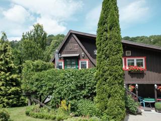 Quaint Holiday Home near Forest, cleaning included - Rübeland - 5