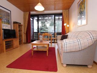 Ferienwohnung im Haus Schiefertal, Wieda, cleaning included - Wieda - 6