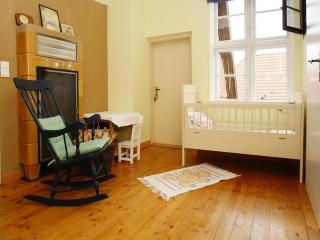 Apartment in Plau am See by Lake Plauer, cleaning included - Plau am See - 6