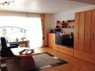 Apartment in Germany near a Scenic Lake, cleaning included - Bissendorf - 7