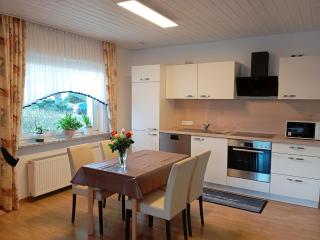 Apartment in Germany near a Scenic Lake, cleaning included - Bissendorf - 0