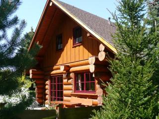 Natural log cabin in Waltershausen, cleaning included - Fischbach - 0