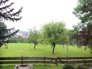 Natural log cabin in Waltershausen, cleaning included - Fischbach - 6