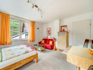 Holiday Home in Schleusegrund with Balcony, cleaning included - Langenbach - 1