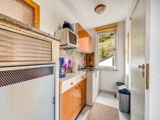 Holiday Home in Schleusegrund with Balcony, cleaning included - Langenbach - 8