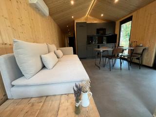 Holiday Home in Haarle near Sallandse Heuvelrug, cleaning included - Haarle - 5