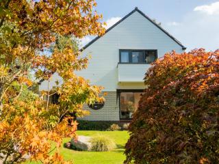 Villa in Overijssel near Eerdebos Forest, cleaning included - Den Ham - 0