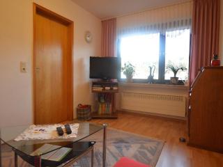 Apartment in Müllenborn with Mountain Views, cleaning included - Gerolstein - 1
