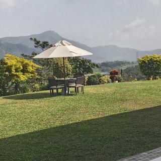 Moragolla Estate Bungalow Kothmale - Gampola - 8